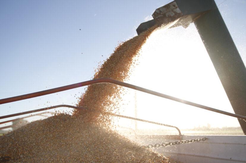 exportaciones-soja-828x548