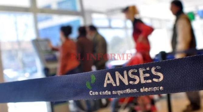 Anses (5)