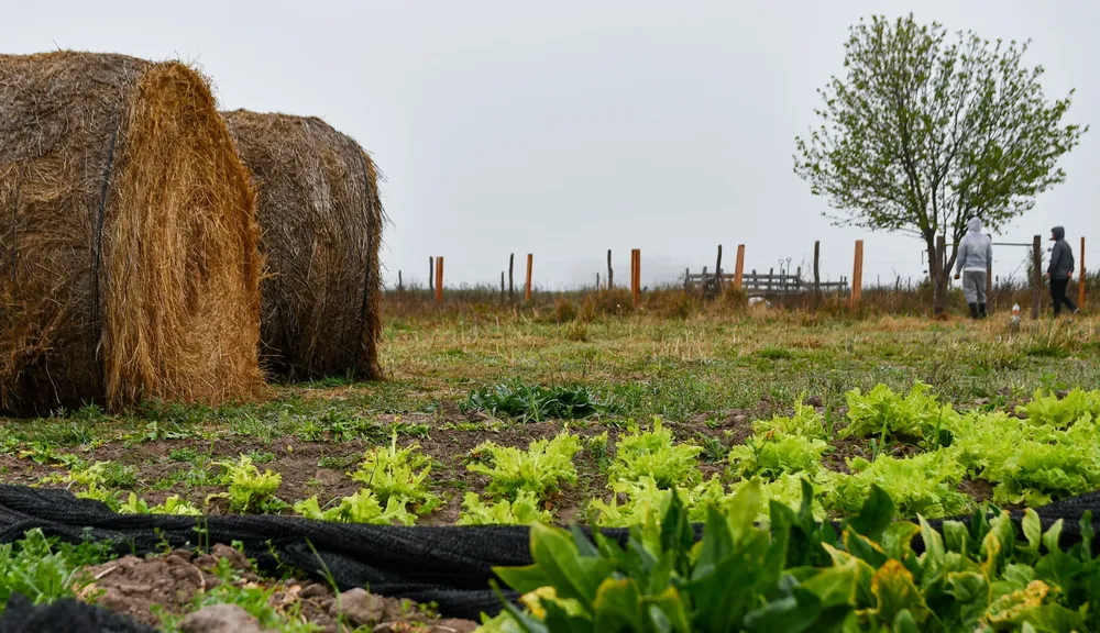 multimedia.grande.a225e7e3c0f5f860.bWFpbF9ncmFuZGUud2VicA==