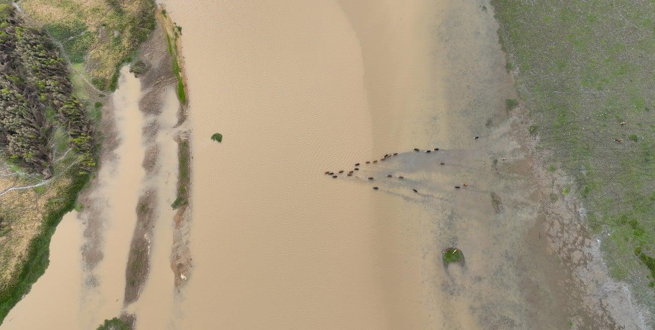 IijCSIhi5_1300x655__1