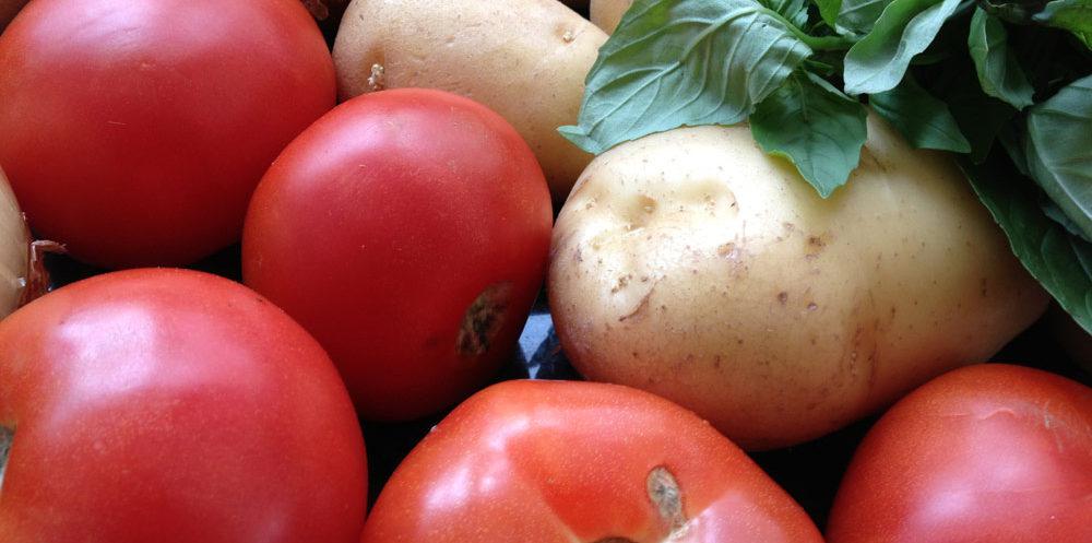 papas-tomates_home-1000x497