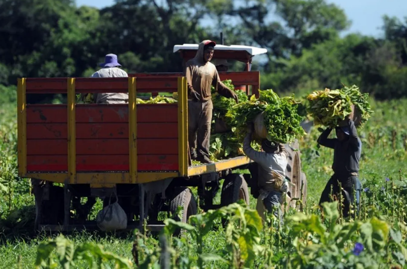 trabajadores-rurales-828x548