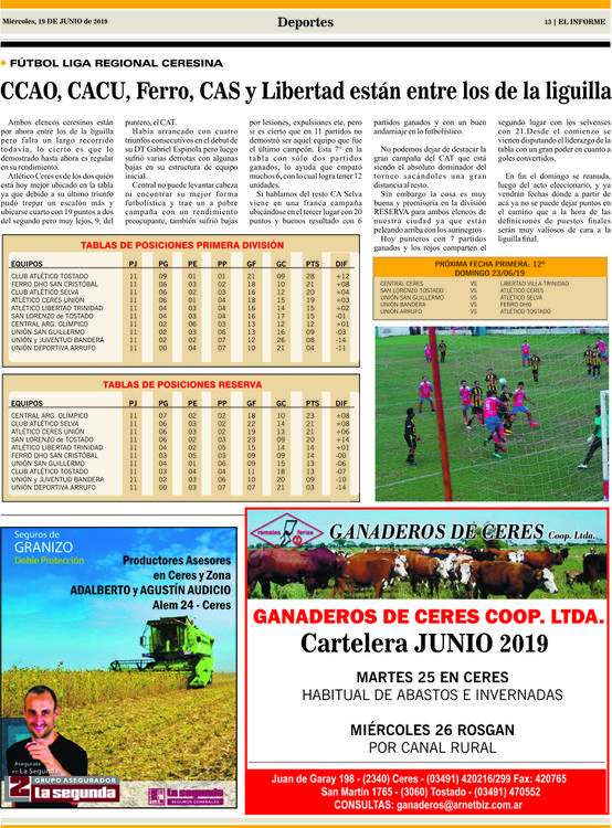 PAGINA 13