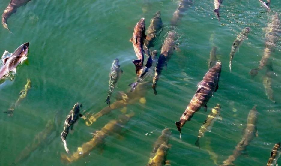 937x553_632486_20230622102234