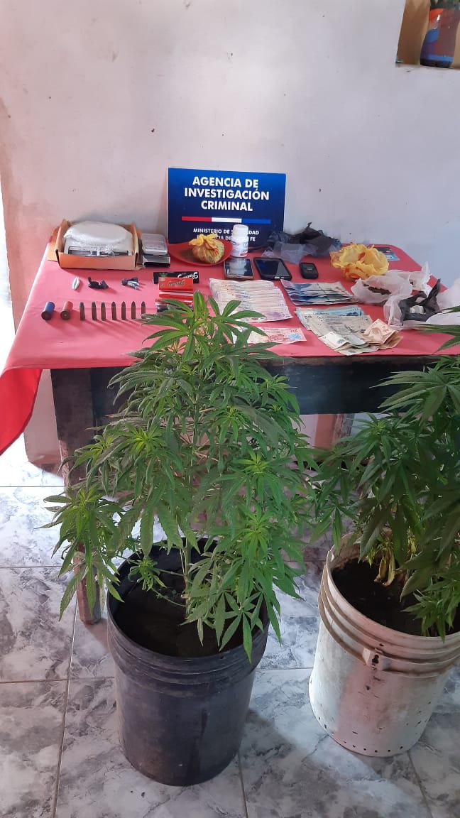 pdi-hersilia-droga