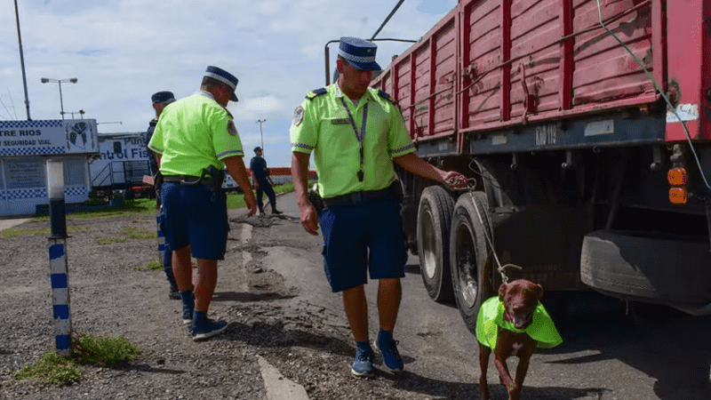 multimedia.normal.a1b7dc6ac39f994f.Y29udHJvbF9wb2xpY2lhbF8xLnBuZ18xNzU2ODQxODZfbm9ybWFsLnBuZw==