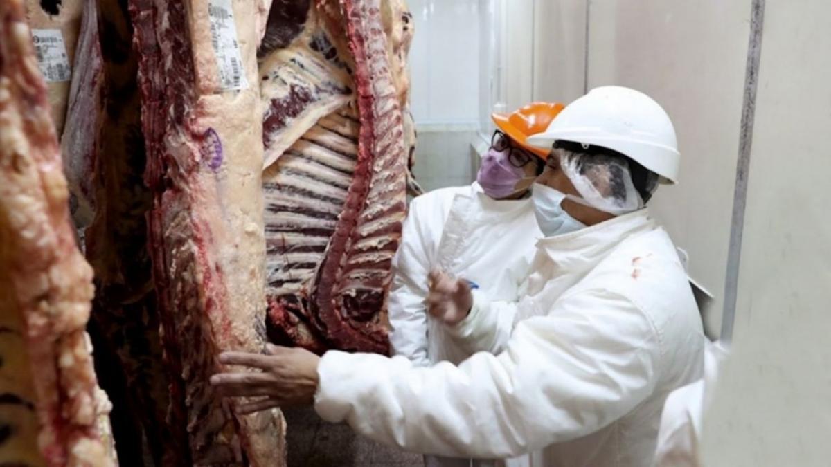 TRABAJADORES-CARNEE