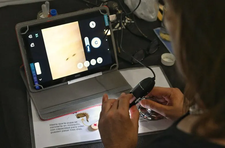 27676-dengue-laboratorio