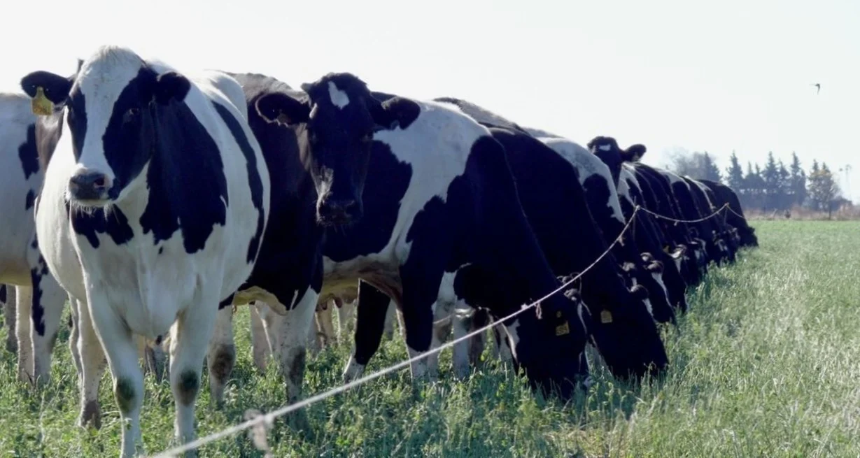 dufqBhcUy_1300x655__2