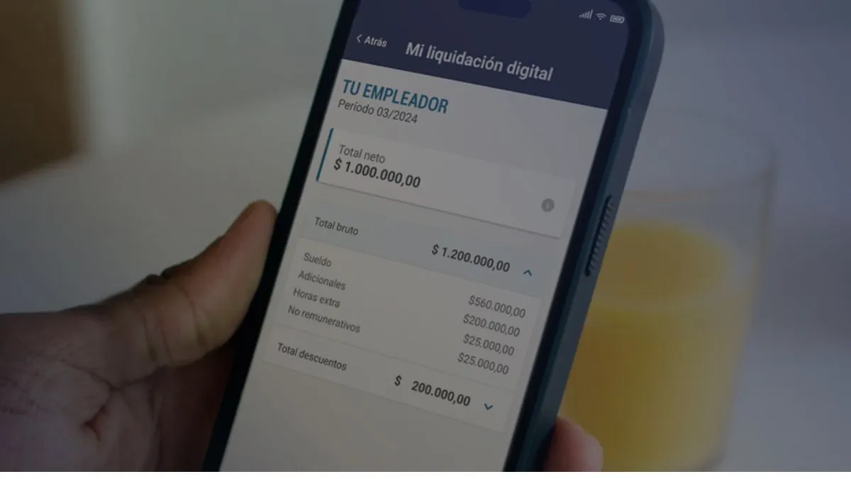 salarios-afip-sueldos-recibojpg