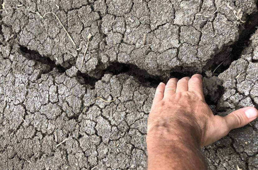 tierra-seca-sequia-joaquin-oliverio-828x548