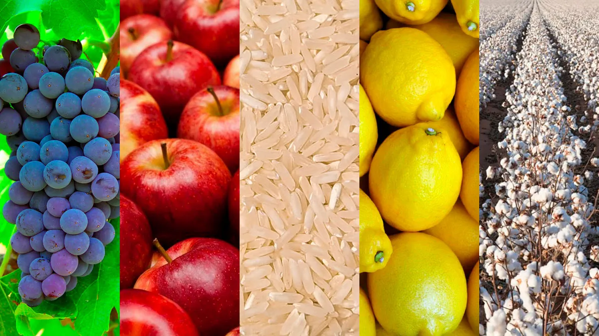 economias-regionales-retenciones