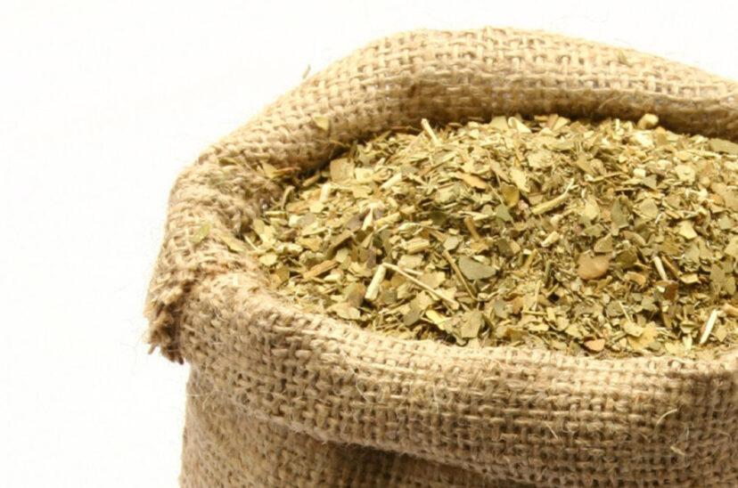 yerba-mate-argentina-828x548