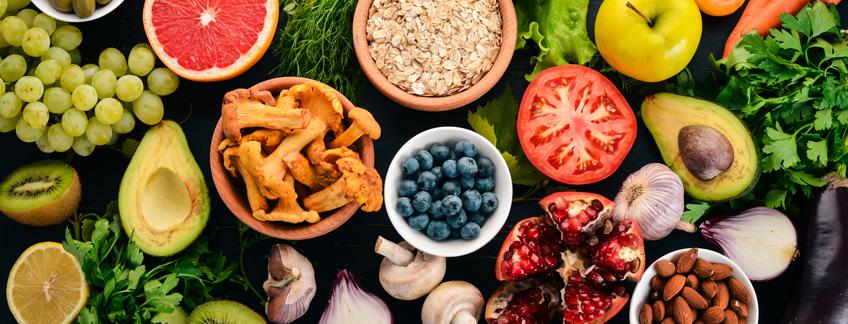 taller-alimentos