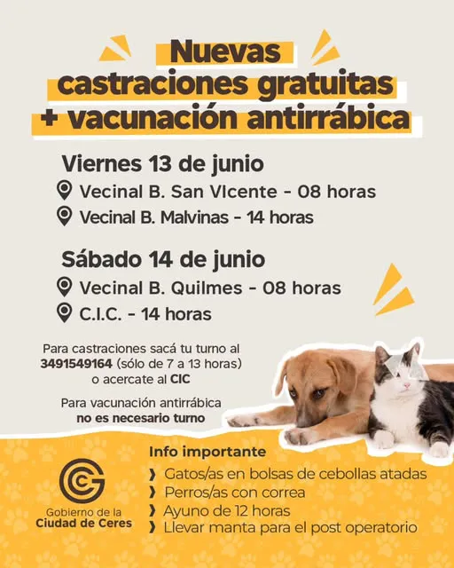 506389315_1146818200810891_6280292231790479410_n