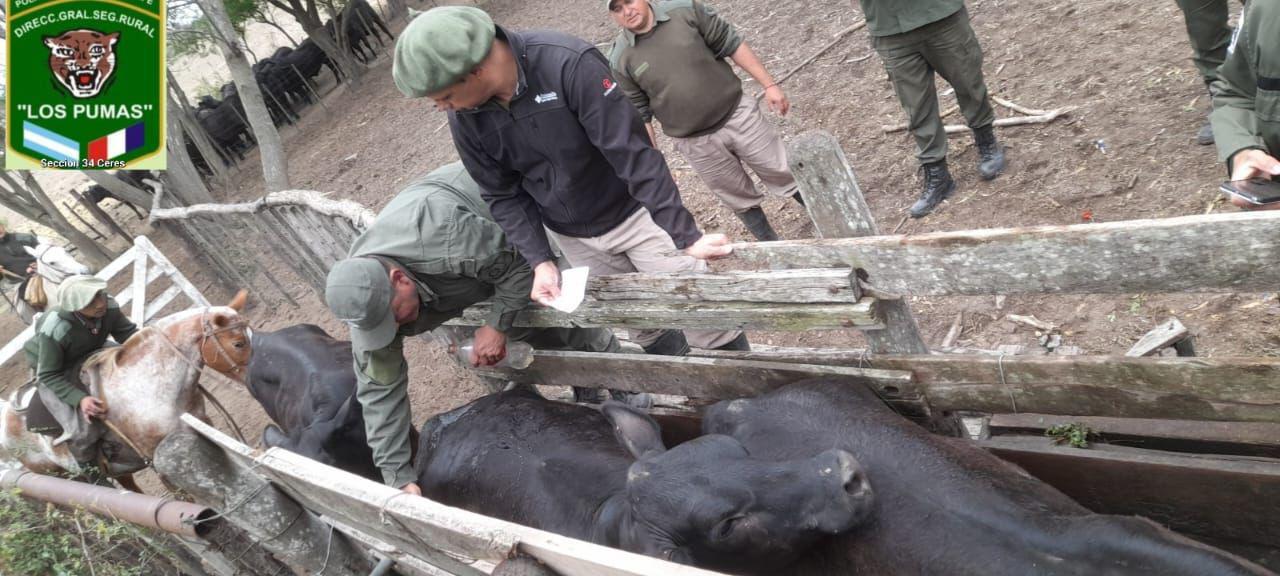 multimedia.normal.b9bd814697bccbdd.SU1HLTIwMjMxMDEyLVdBMDA3M19ub3JtYWwuanBn