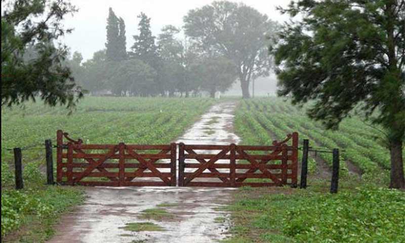Lluvia-campo