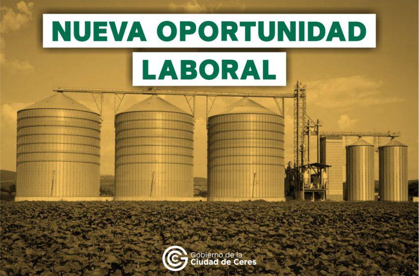 busqueda-laboral-AGD_