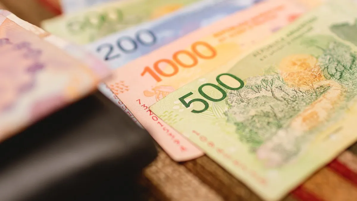 pesos-plazo-fijo-banco-central-billetes-2023