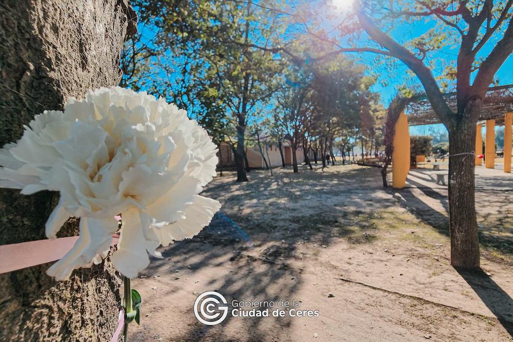 amia paseo de la vida