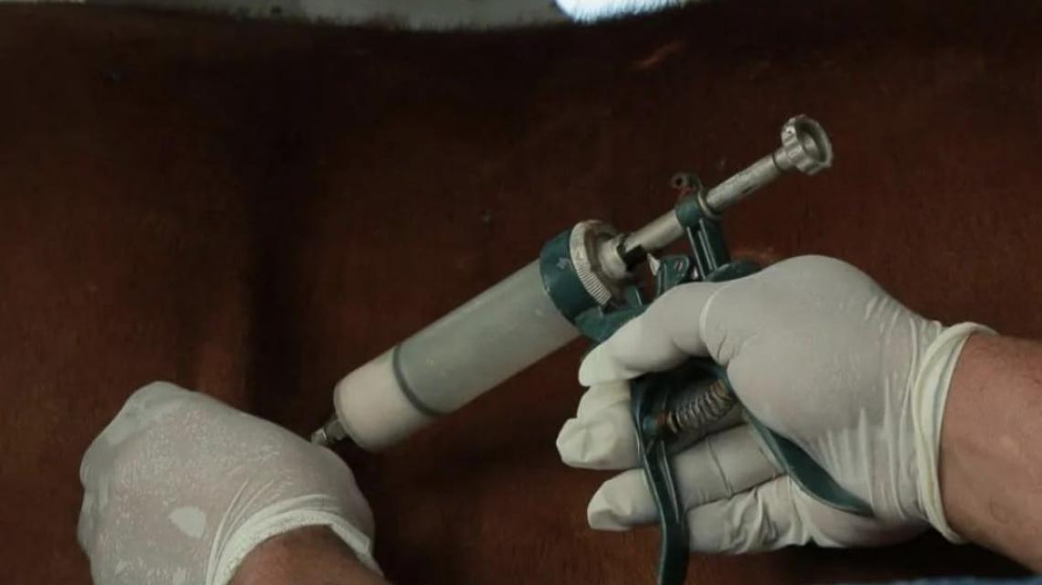 multimedia.normal.8ae5297745050c96.MjAyMy0xMC0wOU5JRF8yNzkxNzlPXzFfbm9ybWFsLmpwZWc=