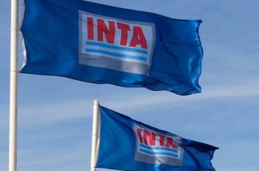 intajpg-828x548