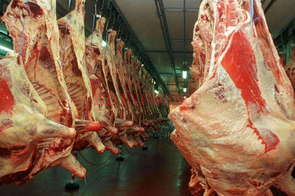 Carne (1)