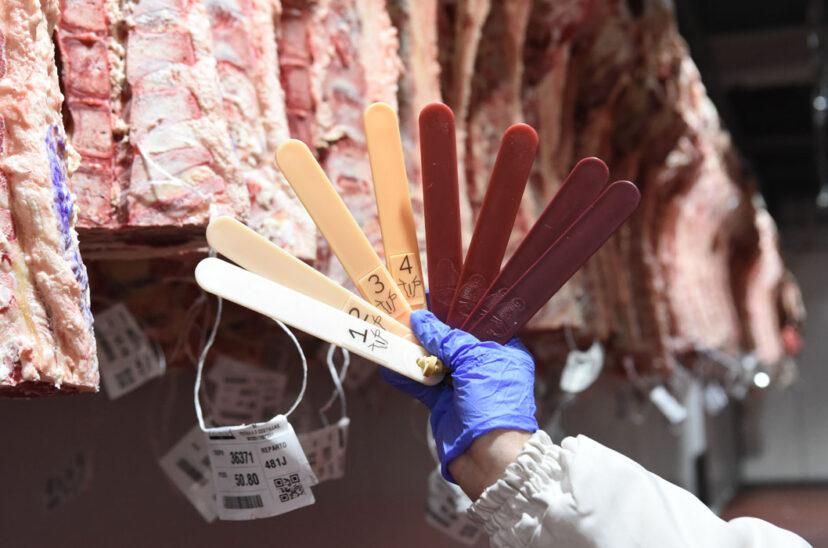 clasificacion-carne-828x548