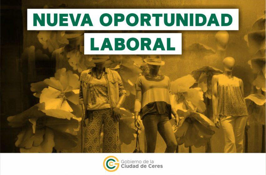 busqueda-laboral-TIENDA_Port715x1080-850x560