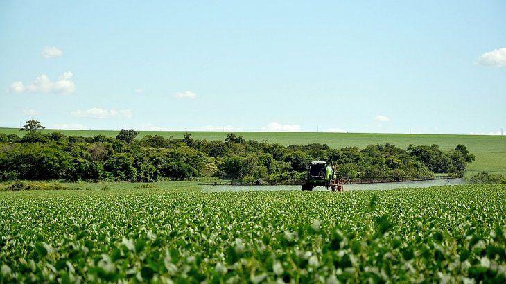 agricultura_