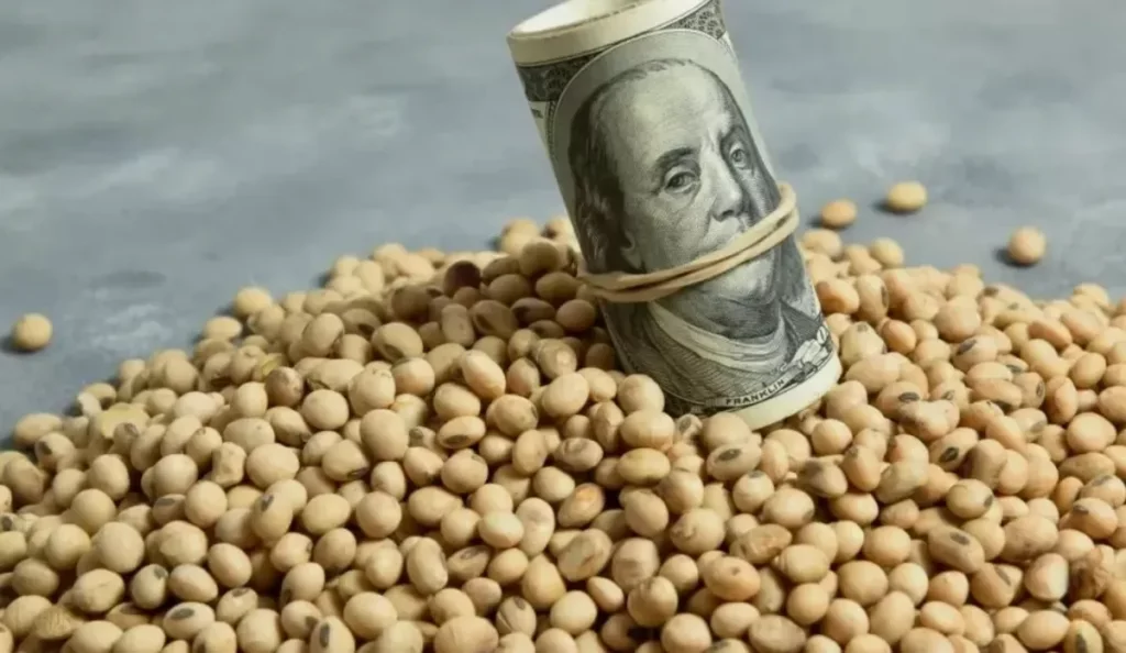 dolar-soja-1024x594