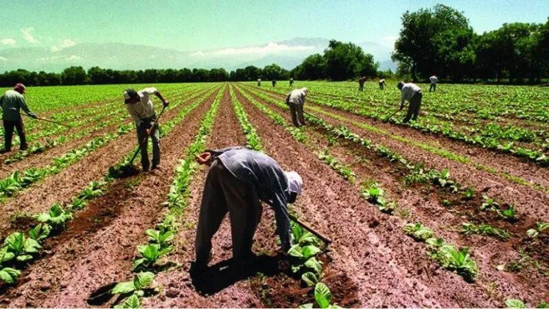 economias-regionales-e1540293391681jpg