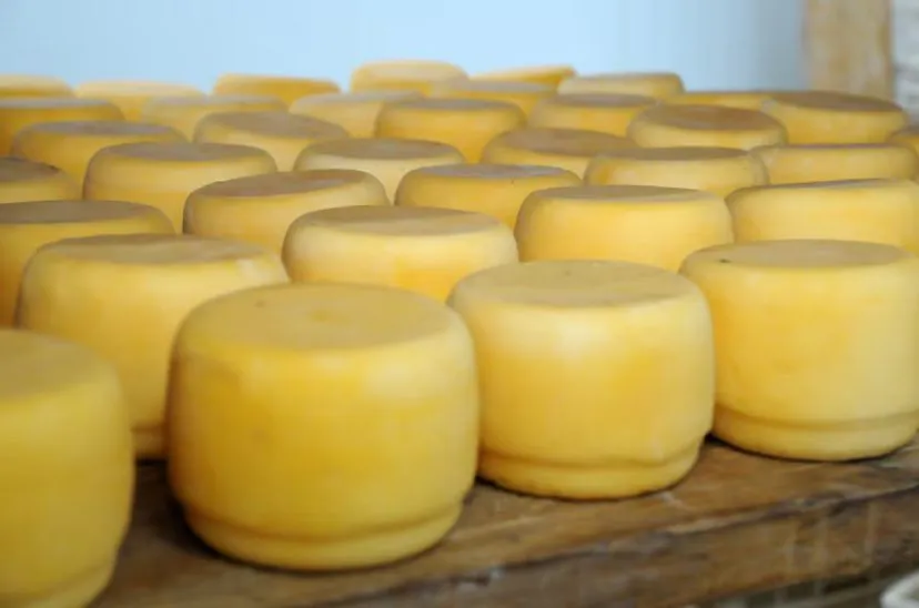 queso-criollo-listeroris-828x548