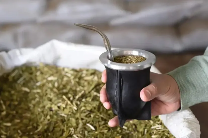 yerba-mate-828x548