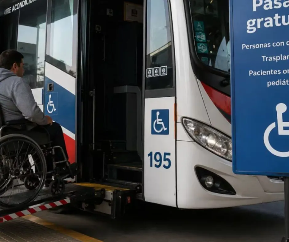 colectivos discapacidad
