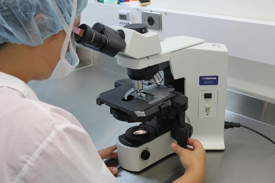 INVESTIGADORES